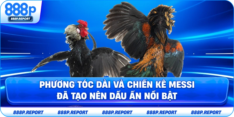 Phương Tóc Dài và Messi đã tạo nên dấu ấn nổi bật